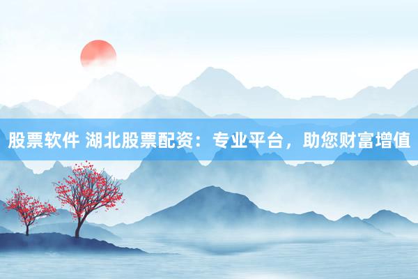 股票软件 湖北股票配资：专业平台，助您财富增值