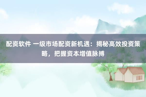 配资软件 一级市场配资新机遇：揭秘高效投资策略，把握资本增值脉搏