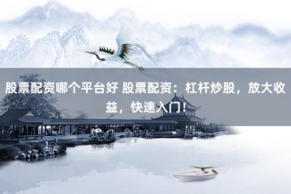 股票配资哪个平台好 股票配资：杠杆炒股，放大收益，快速入门！