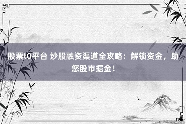 股票t0平台 炒股融资渠道全攻略：解锁资金，助您股市掘金！
