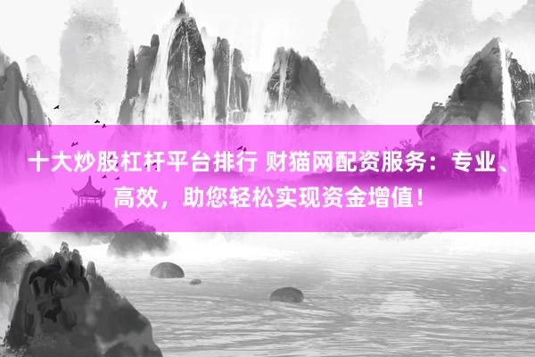 十大炒股杠杆平台排行 财猫网配资服务：专业、高效，助您轻松实现资金增值！