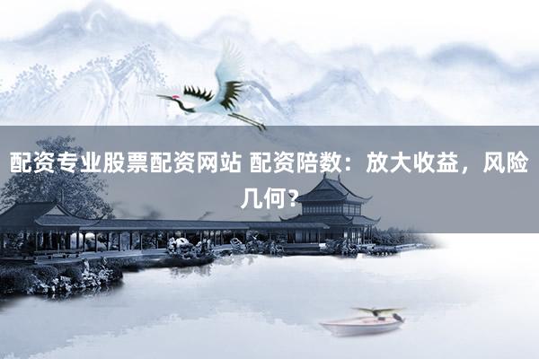 配资专业股票配资网站 配资陪数：放大收益，风险几何？