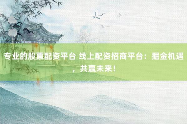 专业的股票配资平台 线上配资招商平台:掘金机遇,共赢未来!