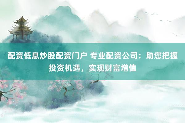 配资低息炒股配资门户 专业配资公司:助您把握投资机遇,实现财富增值