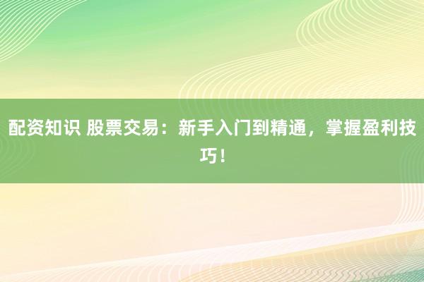 配资知识 股票交易:新手入门到精通,掌握盈利技巧!