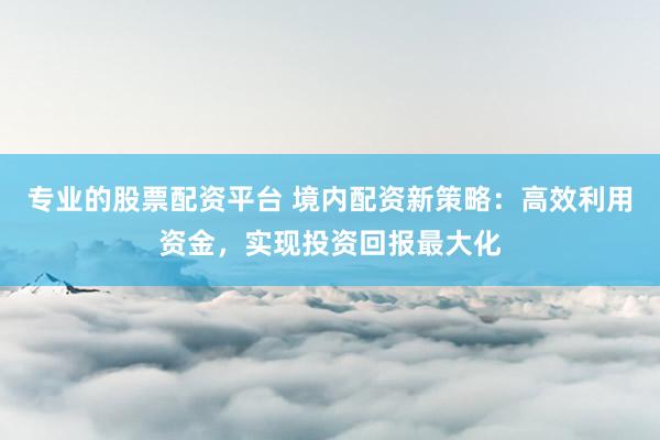 专业的股票配资平台 境内配资新策略:高效利用资金,实现投资回报最大化