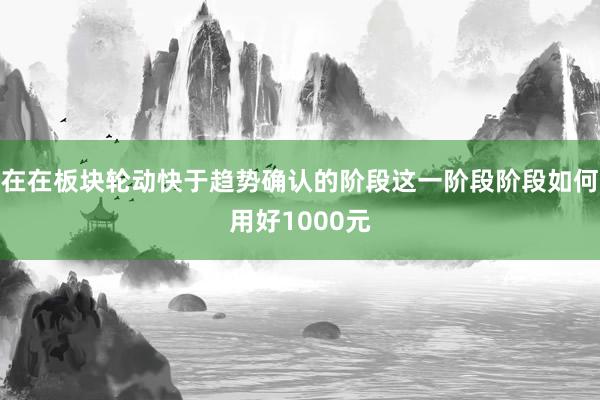 在在板块轮动快于趋势确认的阶段这一阶段阶段如何用好1000元