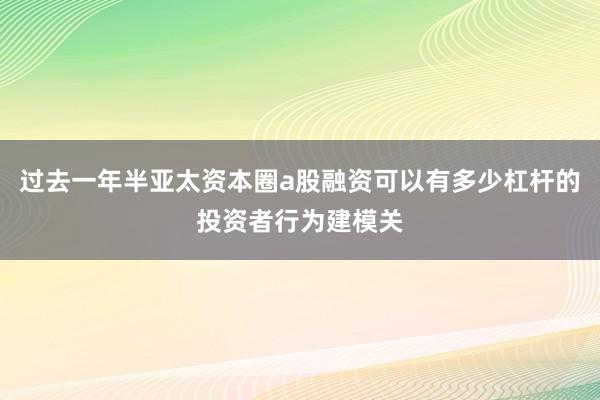 过去一年半亚太资本圈a股融资可以有多少杠杆的投资者行为建模关