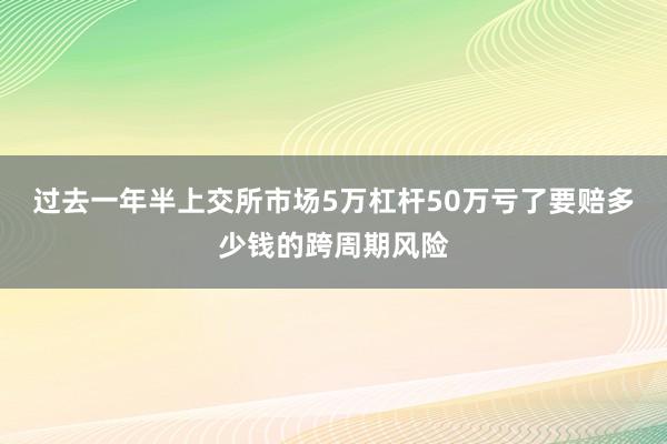过去一年半上交所市场5万杠杆50万亏了要赔多少钱的跨周期风险