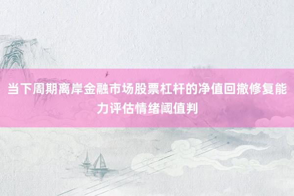 当下周期离岸金融市场股票杠杆的净值回撤修复能力评估情绪阈值判