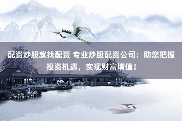 配资炒股就找配资 专业炒股配资公司:助您把握投资机遇,实现财富增值!