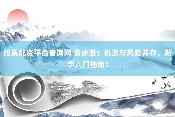 股票配资平台查询网 资炒股：机遇与风险并存，新手入门指南！
