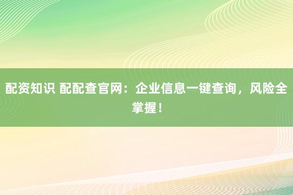 配资知识 配配查官网：企业信息一键查询，风险全掌握！