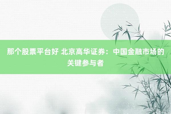 那个股票平台好 北京高华证券:中国金融市场的关键参与者