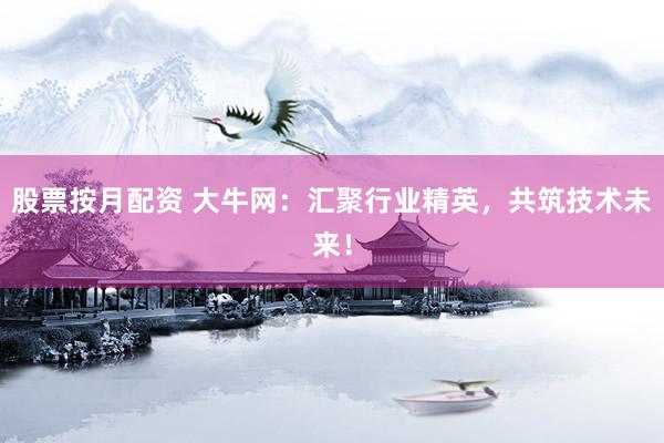 股票按月配资 大牛网：汇聚行业精英，共筑技术未来！