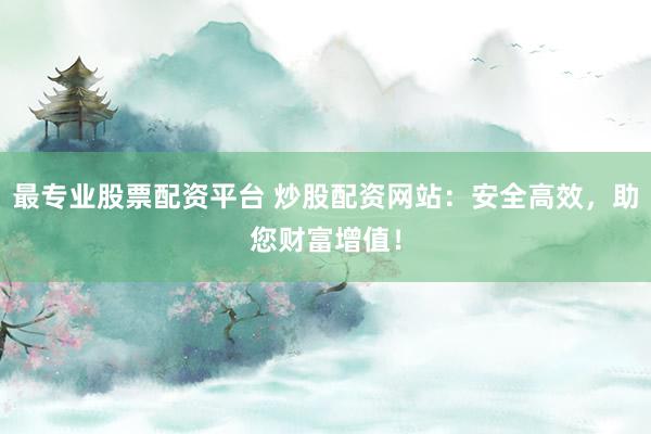 最专业股票配资平台 炒股配资网站：安全高效，助您财富增值！